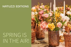 Зустріч довгоочікуваної весни у шоурумі Natuzzi Editions фото